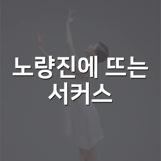 노량진에 뜨는 서커스