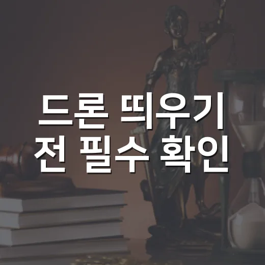드론 띄우기 전 필수 확인