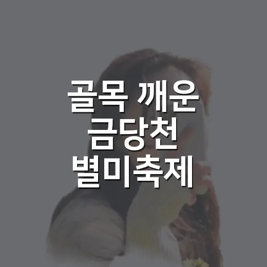 골목 깨운 금당천 별미축제
