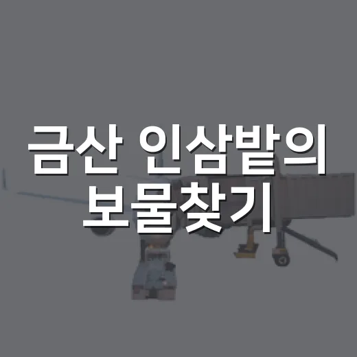 금산 인삼밭의 보물찾기