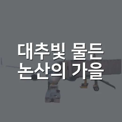 대추빛 물든 논산의 가을