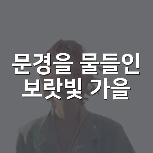 문경을 물들인 보랏빛 가을