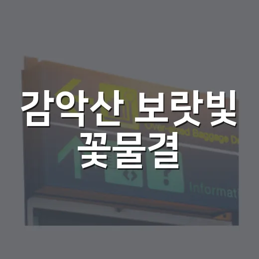 감악산 보랏빛 꽃물결