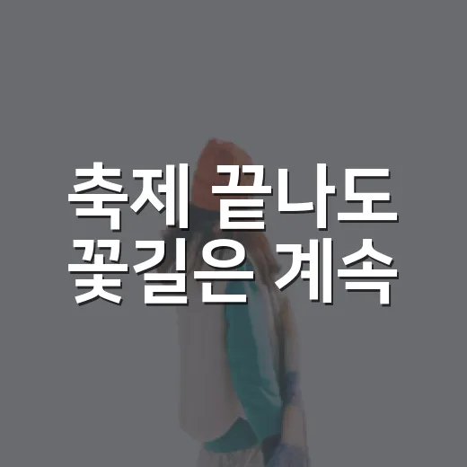축제 끝나도 꽃길은 계속