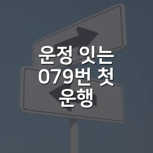 운정 잇는 079번 첫 운행