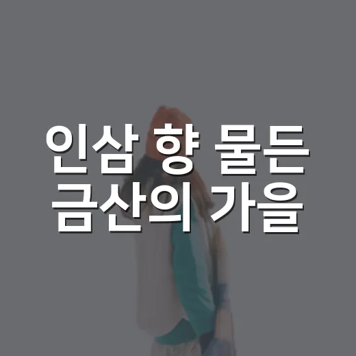 인삼 향 물든 금산의 가을