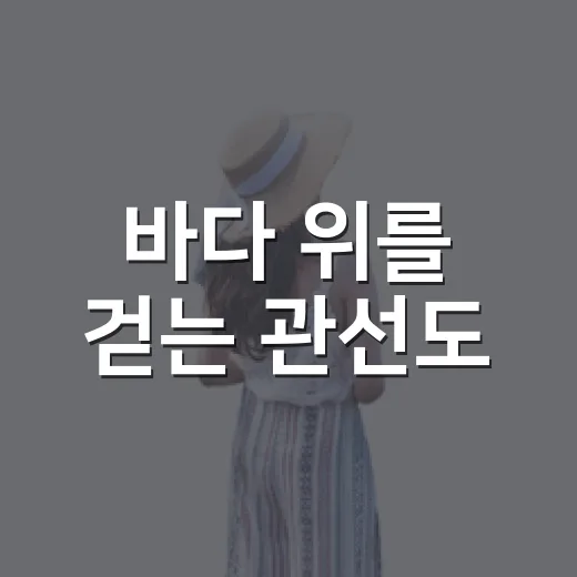 바다 위를 걷는 관선도