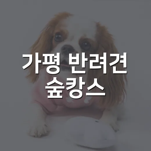 가평 반려견 숲캉스