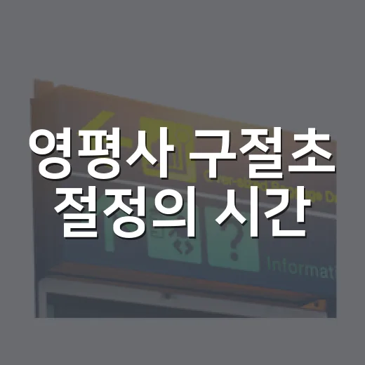 영평사 구절초 절정의 시간