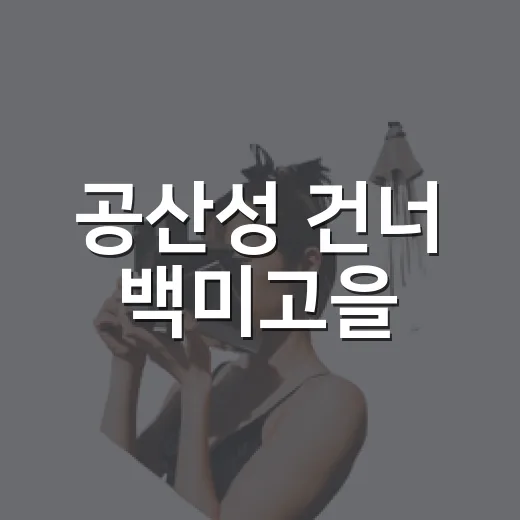 공산성 건너 백미고을