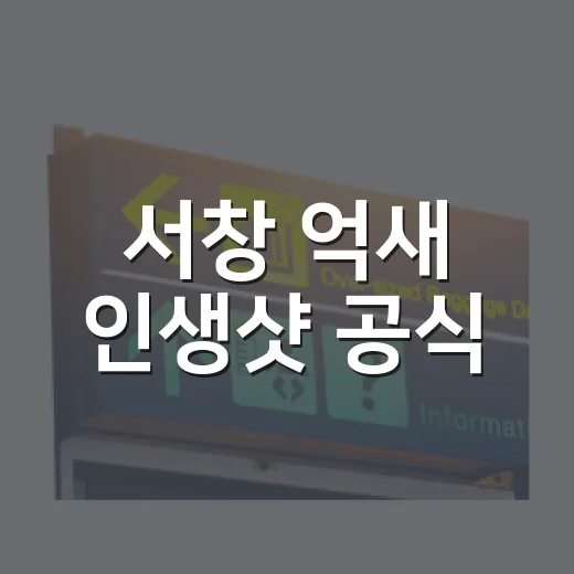 서창 억새 인생샷 공식