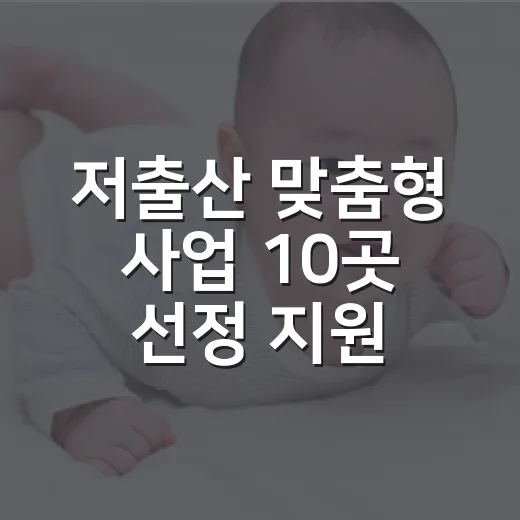 저출산 맞춤형 사업 10곳 선정 지원금은 얼마