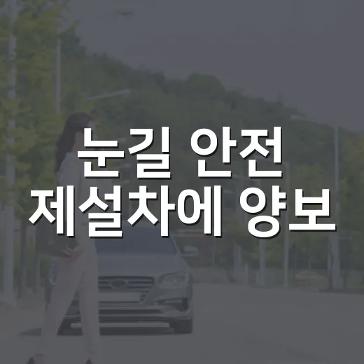 눈길 안전 제설차에 양보