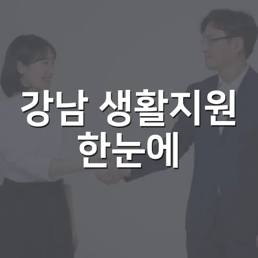 강남 생활지원 한눈에