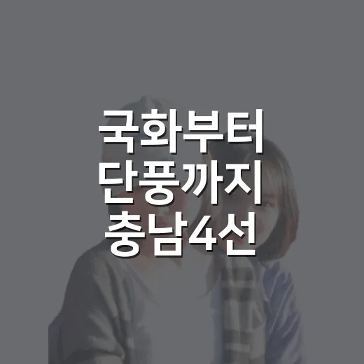 국화부터 단풍까지 충남4선