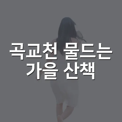 곡교천 물드는 가을 산책