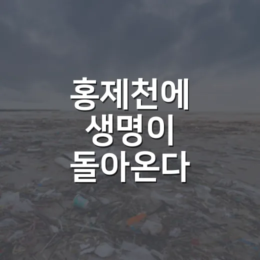 홍제천에 생명이 돌아온다