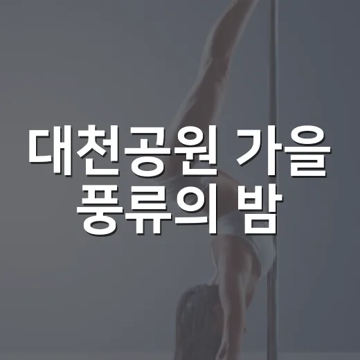 대천공원 가을 풍류의 밤