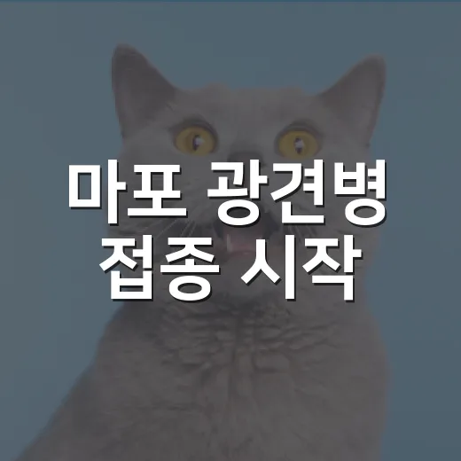 마포 광견병 접종 시작