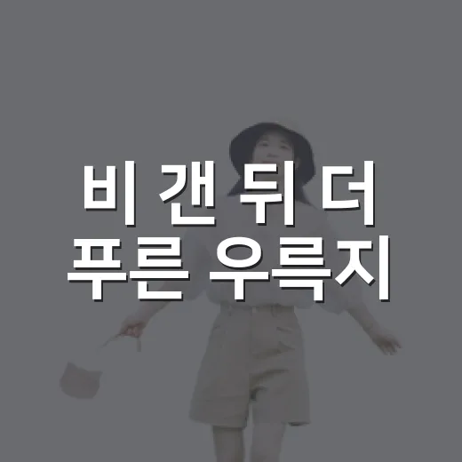 비 갠 뒤 더 푸른 우륵지