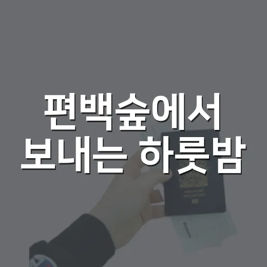 편백숲에서 보내는 하룻밤