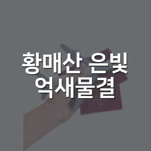 황매산 은빛 억새물결