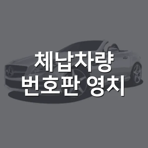 체납차량 번호판 영치