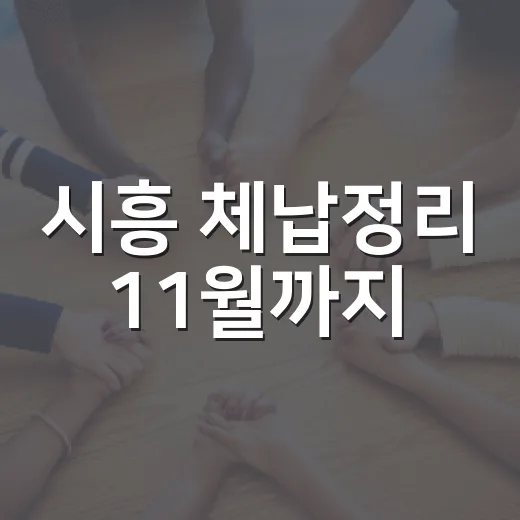 시흥 체납정리 11월까지