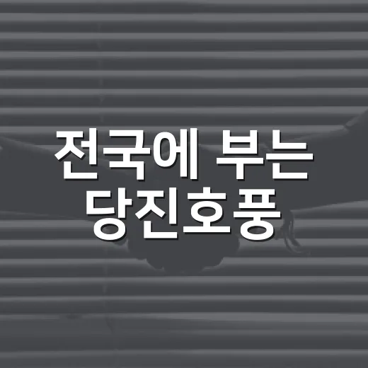 전국에 부는 당진호풍