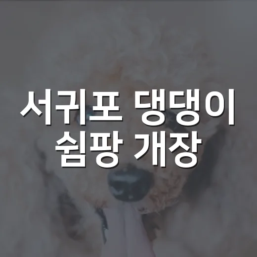 서귀포 댕댕이 쉼팡 개장