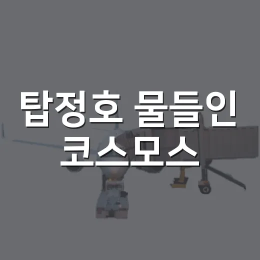 탑정호 물들인 코스모스