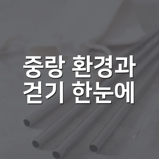 중랑 환경과 걷기 한눈에