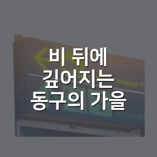 비 뒤에 깊어지는 동구의 가을