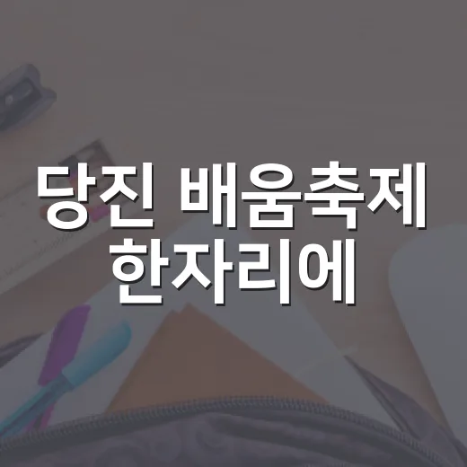 당진 배움축제 한자리에