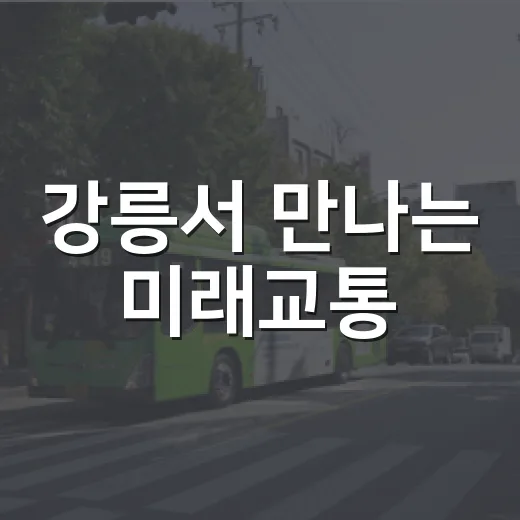 강릉서 만나는 미래교통