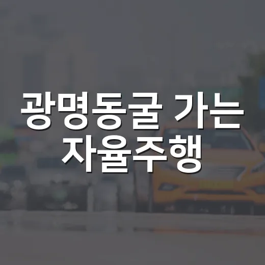 광명동굴 가는 자율주행