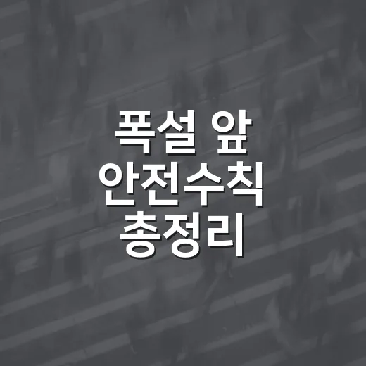 폭설 앞 안전수칙 총정리