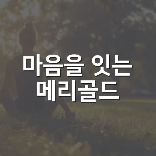 마음을 잇는 메리골드