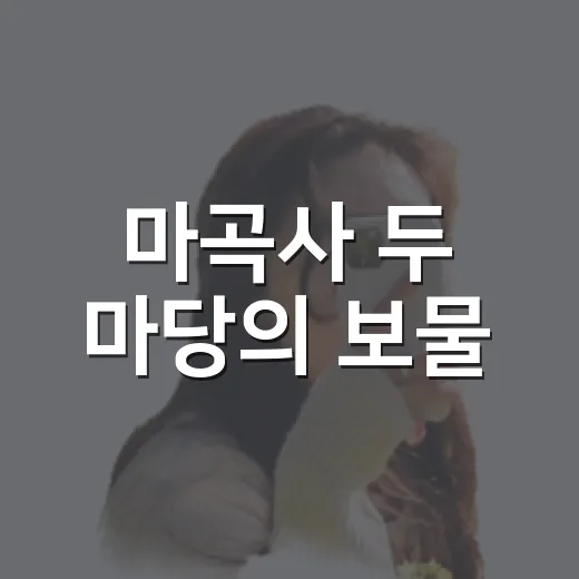 마곡사 두 마당의 보물