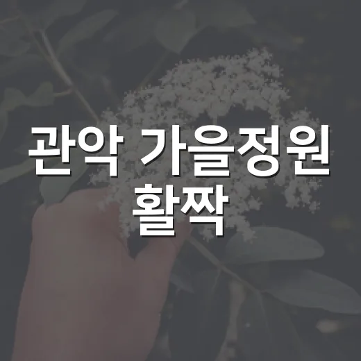 관악 가을정원 활짝