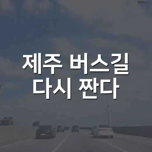 제주 버스길 다시 짠다