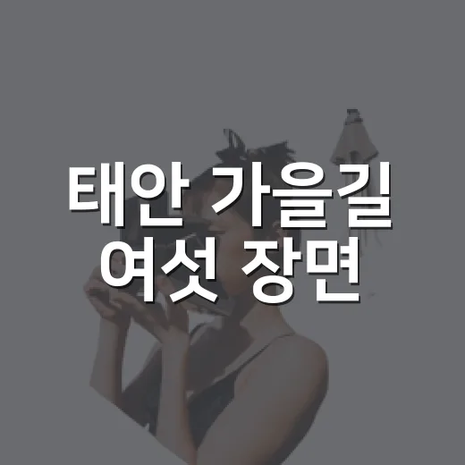 태안 가을길 여섯 장면