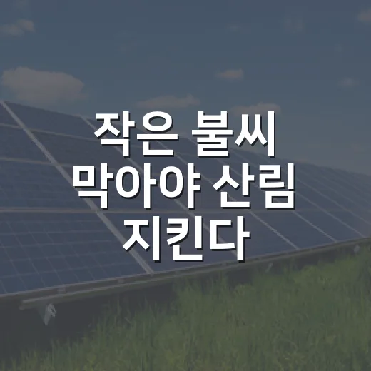 작은 불씨 막아야 산림 지킨다