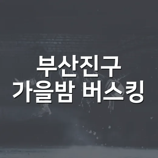 부산진구 가을밤 버스킹