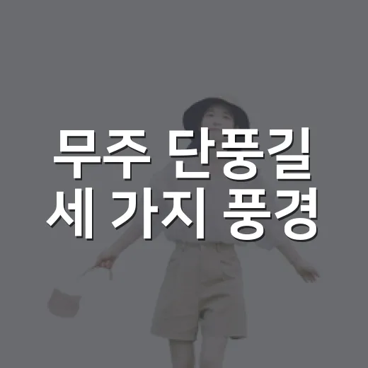 무주 단풍길 세 가지 풍경