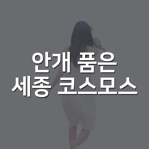 안개 품은 세종 코스모스