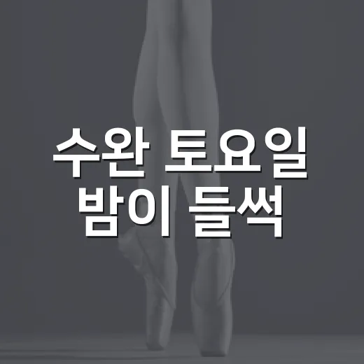 수완 토요일 밤이 들썩