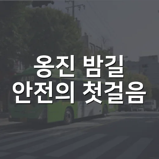 옹진 밤길 안전의 첫걸음