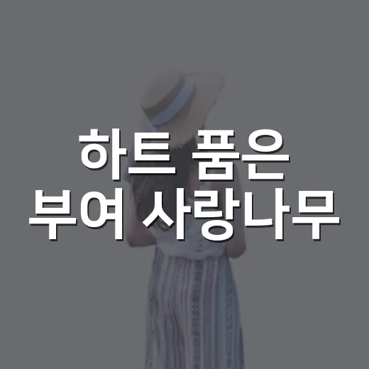 하트 품은 부여 사랑나무