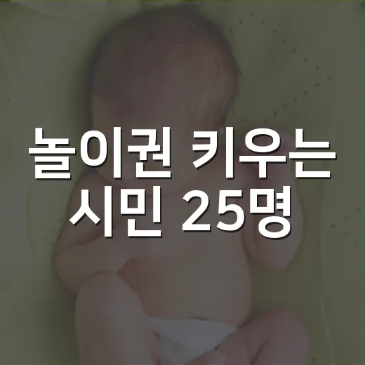 놀이권 키우는 시민 25명